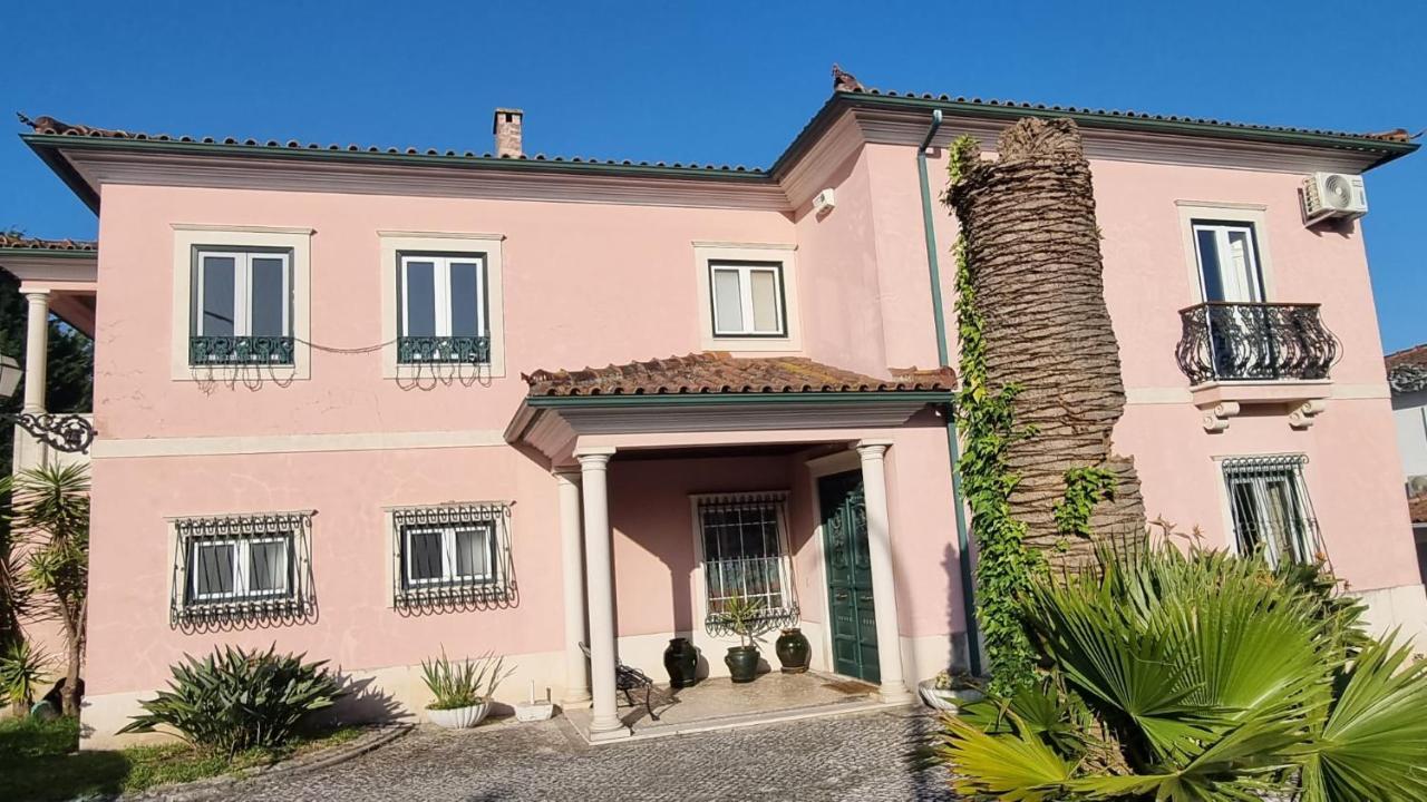 Casa Da Palmeira Leiria Buitenkant foto
