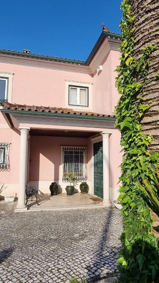 Casa Da Palmeira Leiria Buitenkant foto