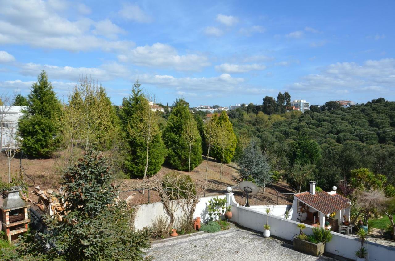 Casa Da Palmeira Leiria Buitenkant foto