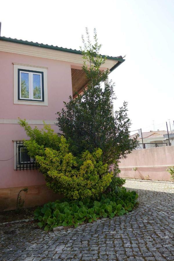Casa Da Palmeira Leiria Buitenkant foto